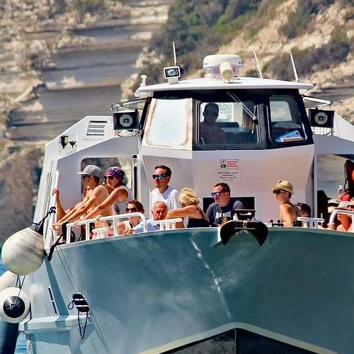 토마토의 매력, 건강이 함께하는 비밀을 파헤치다!