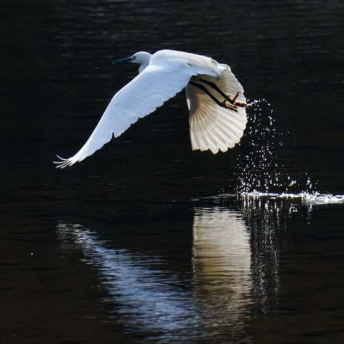 건강보험 피부양자 등록, 내 가족을 지키기 위한 필수조건 건강보험 피부양자 등록, 내 가족을 지키기 위한 필수조건