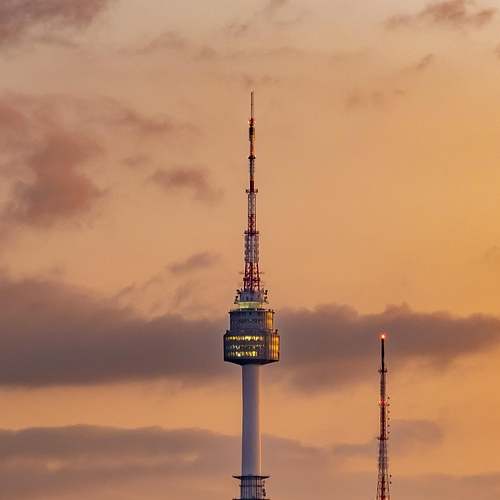 겹벚꽃의 아름다움, 서울과 경기도의 숨겨진 명소들