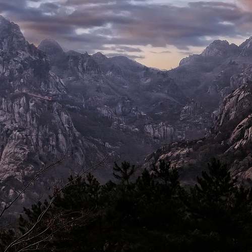 제주도 수국의 환상 속으로 – 도민들이 추천하는 진짜 예쁜 명소들 제주도 수국의 환상 속으로 – 도민들이 추천하는 진짜 예쁜 명소들