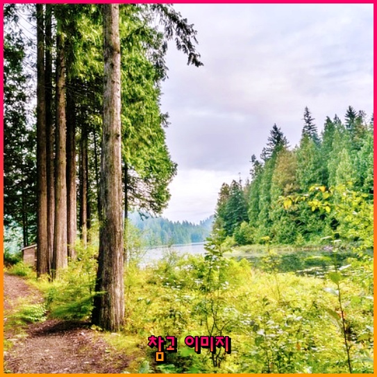 겨울철 따뜻함을 보장하는 에너지 바우처 신청 가이드