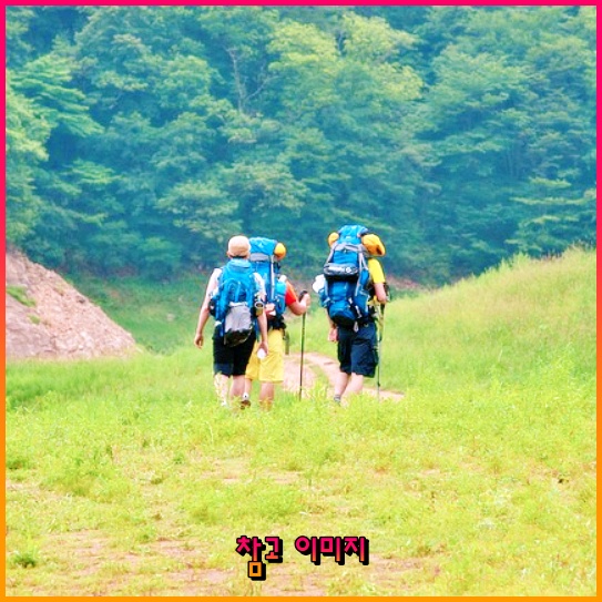 전세 계약 신고, 이제는 필수! 과태료 없이 신고하는 방법과 요건 전세 계약 신고, 이제는 필수! 과태료 없이 신고하는 방법과 요건