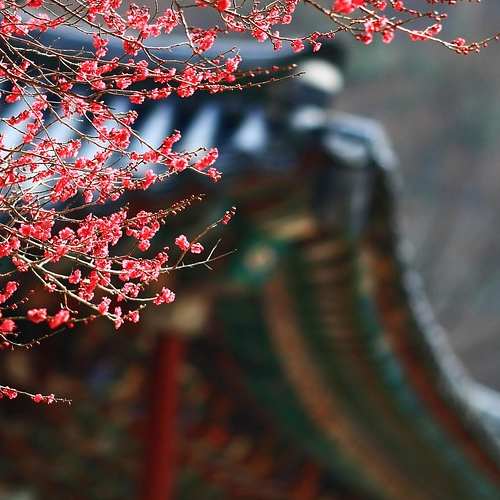 소상공인과 자영업자를 위한 꿈의 지원, 전직장려수당 알아보기 소상공인과 자영업자를 위한 꿈의 지원, 전직장려수당 알아보기