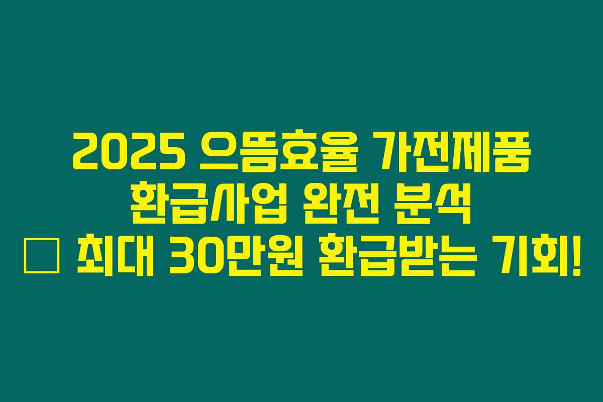 2025 으뜸효율 가전제품 환급사업 완전 분석 – 최대 30만원 환급받는 기회! 2025 으뜸효율 가전제품 환급사업 완전 분석 – 최대 30만원 환급받는 기회!