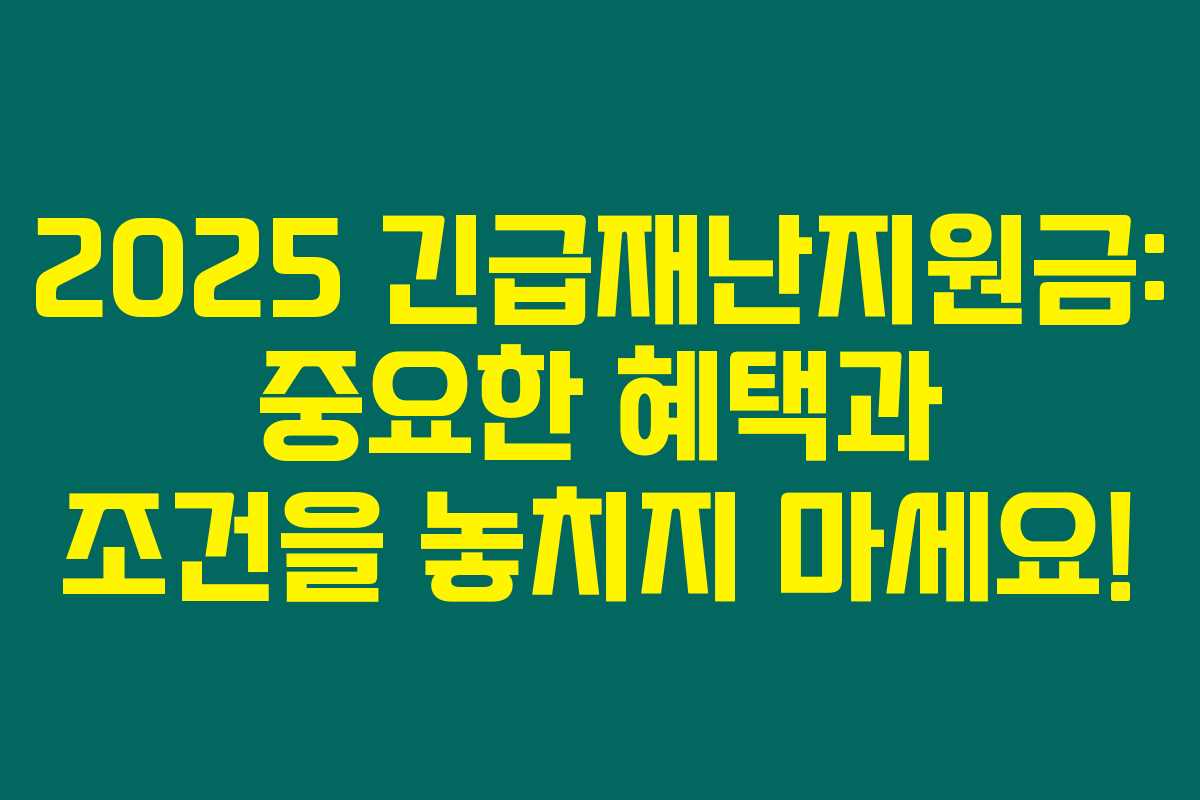 2025 긴급재난지원금: 중요한 혜택과 조건을 놓치지 마세요!