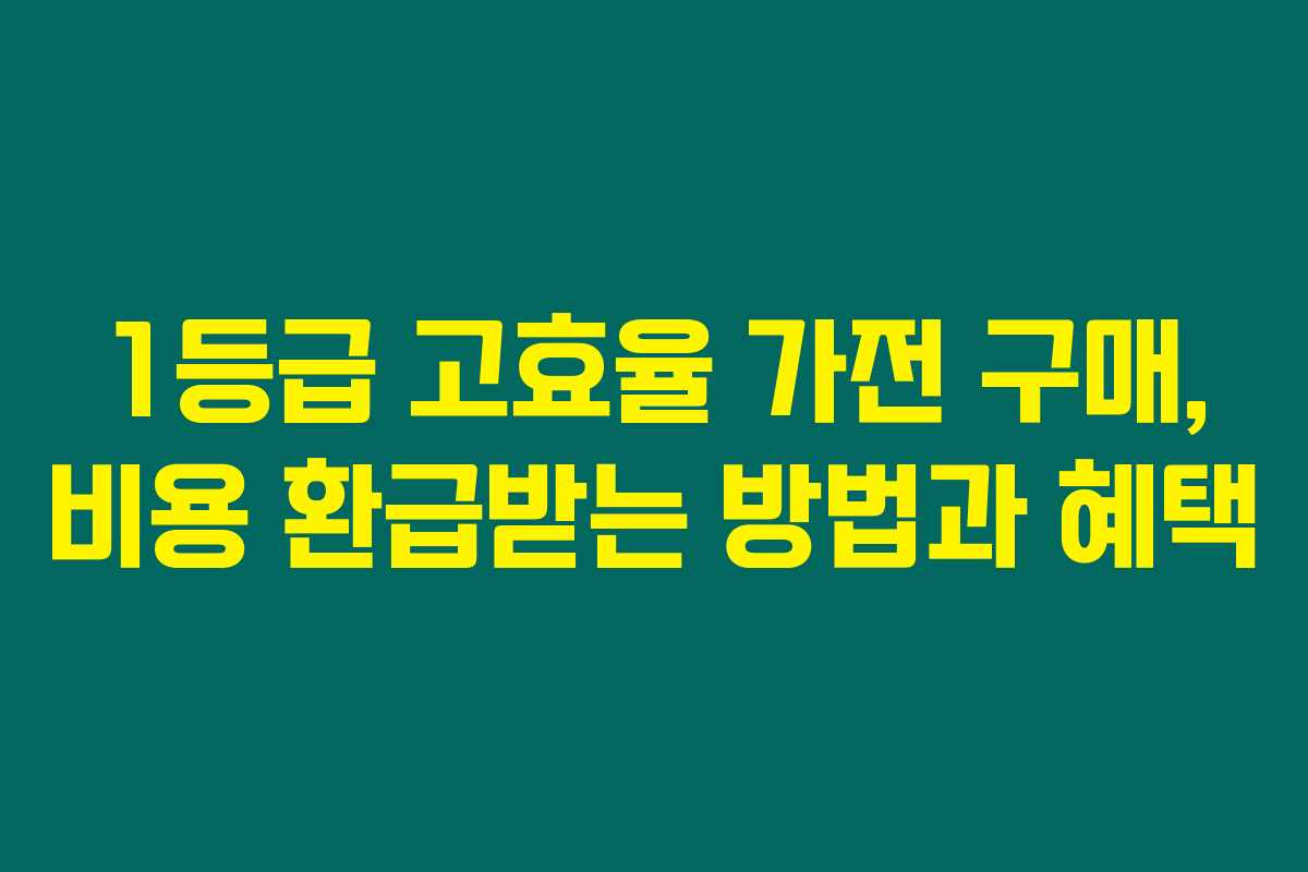 1등급 고효율 가전 구매, 비용 환급받는 방법과 혜택 1등급 고효율 가전 구매, 비용 환급받는 방법과 혜택