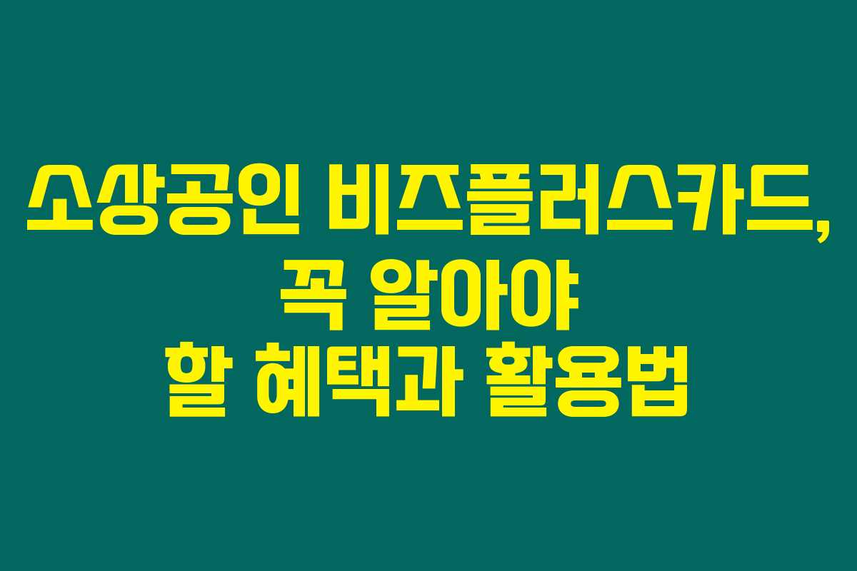 소상공인 비즈플러스카드, 꼭 알아야 할 혜택과 활용법 소상공인 비즈플러스카드, 꼭 알아야 할 혜택과 활용법