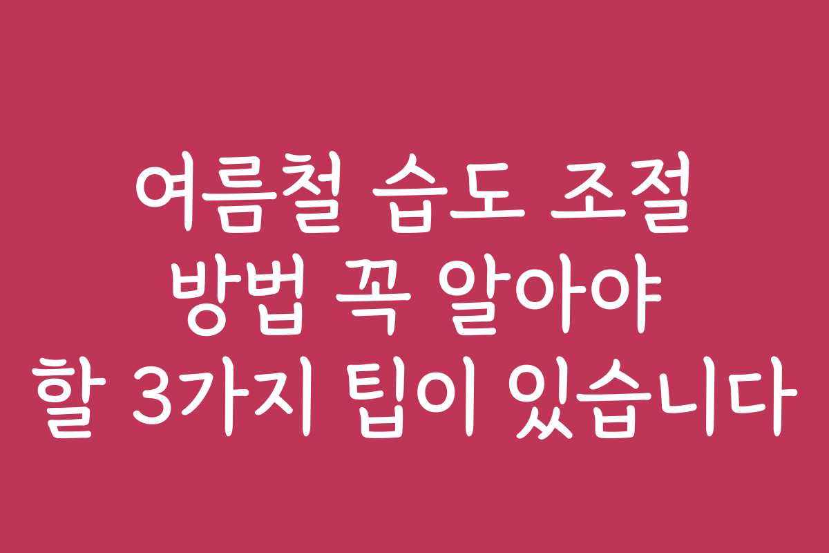 여름철 습도 조절 방법 꼭 알아야 할 3가지 팁이 있습니다