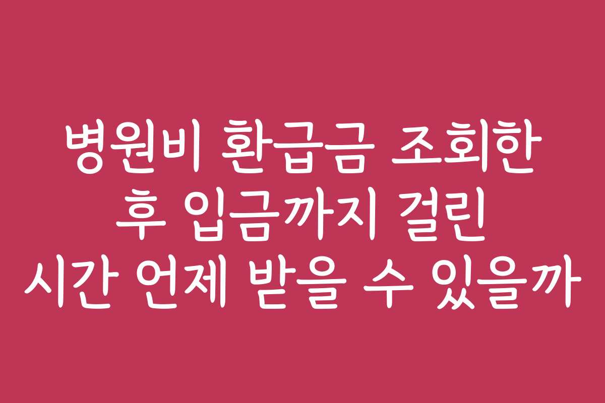병원비 환급금 조회한 후 입금까지 걸린 시간 언제 받을 수 있을까