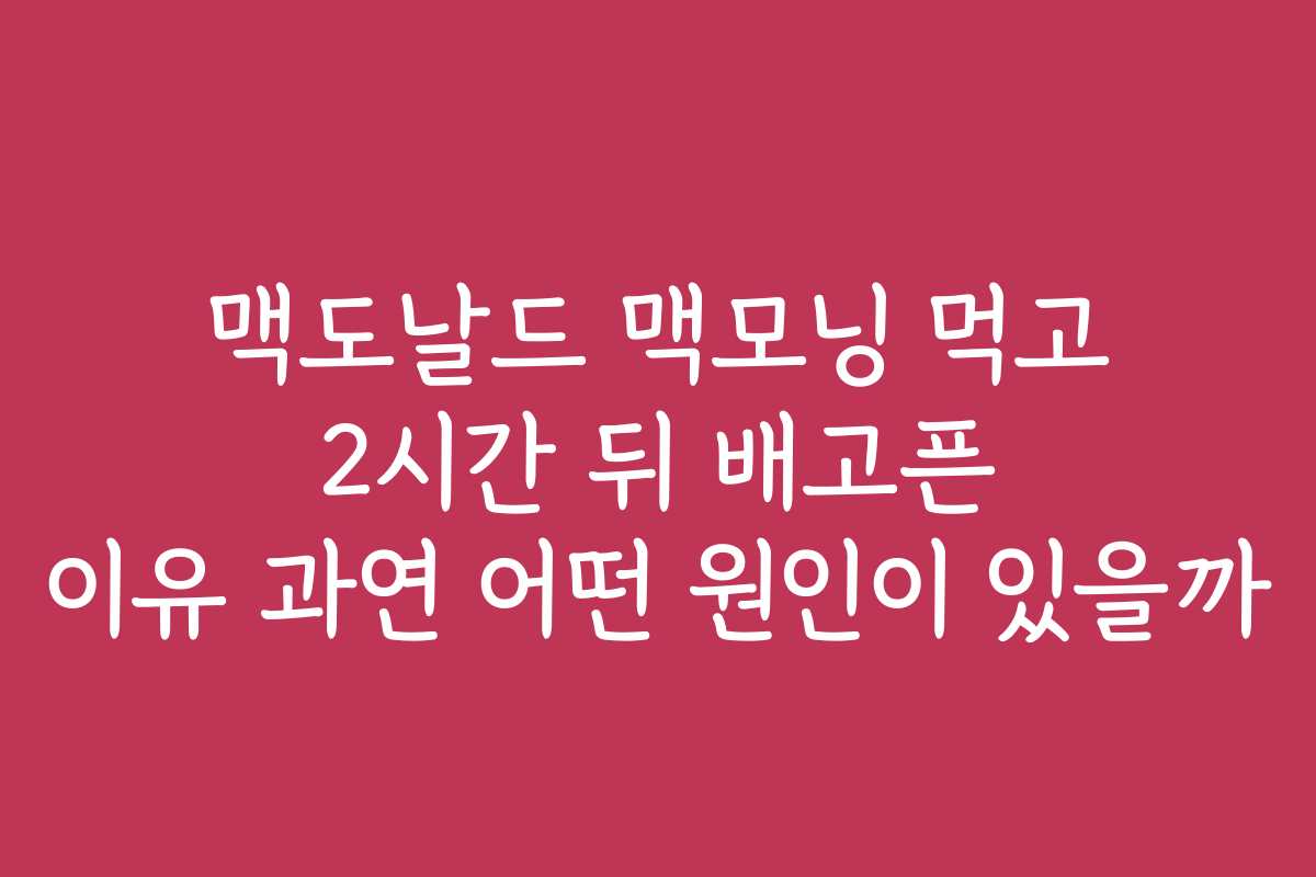 맥도날드 맥모닝 먹고 2시간 뒤 배고픈 이유 과연 어떤 원인이 있을까