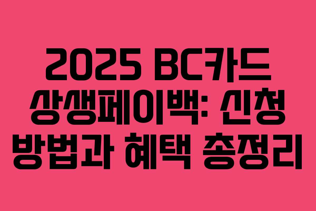2025 BC카드 상생페이백: 신청 방법과 혜택 총정리