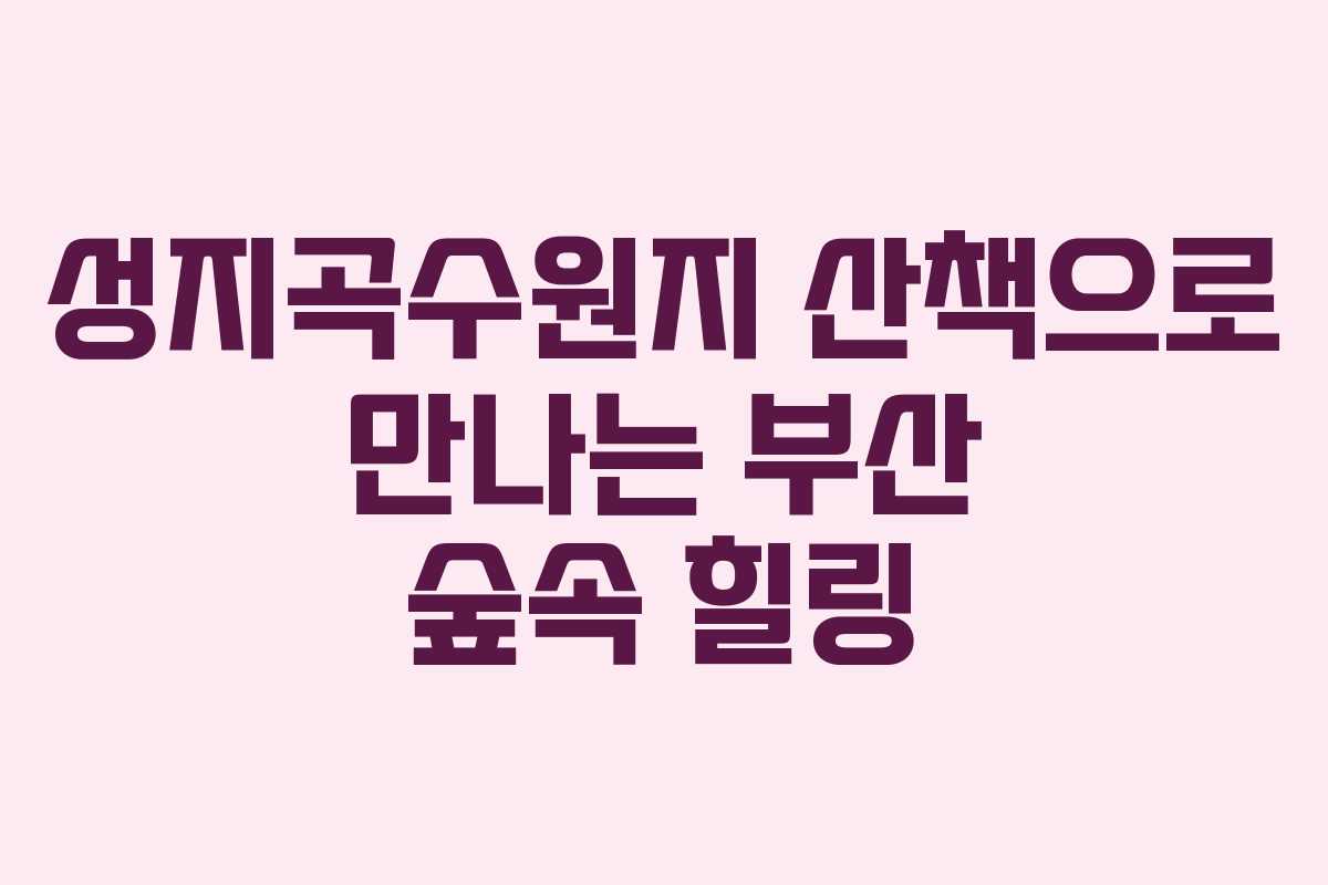 성지곡수원지 산책으로 만나는 부산 숲속 힐링