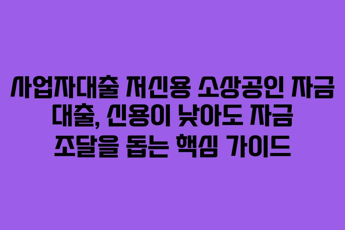 사업자대출 저신용 소상공인 자금 대출, 신용이 낮아도 자금 조달을 돕는 핵심 가이드