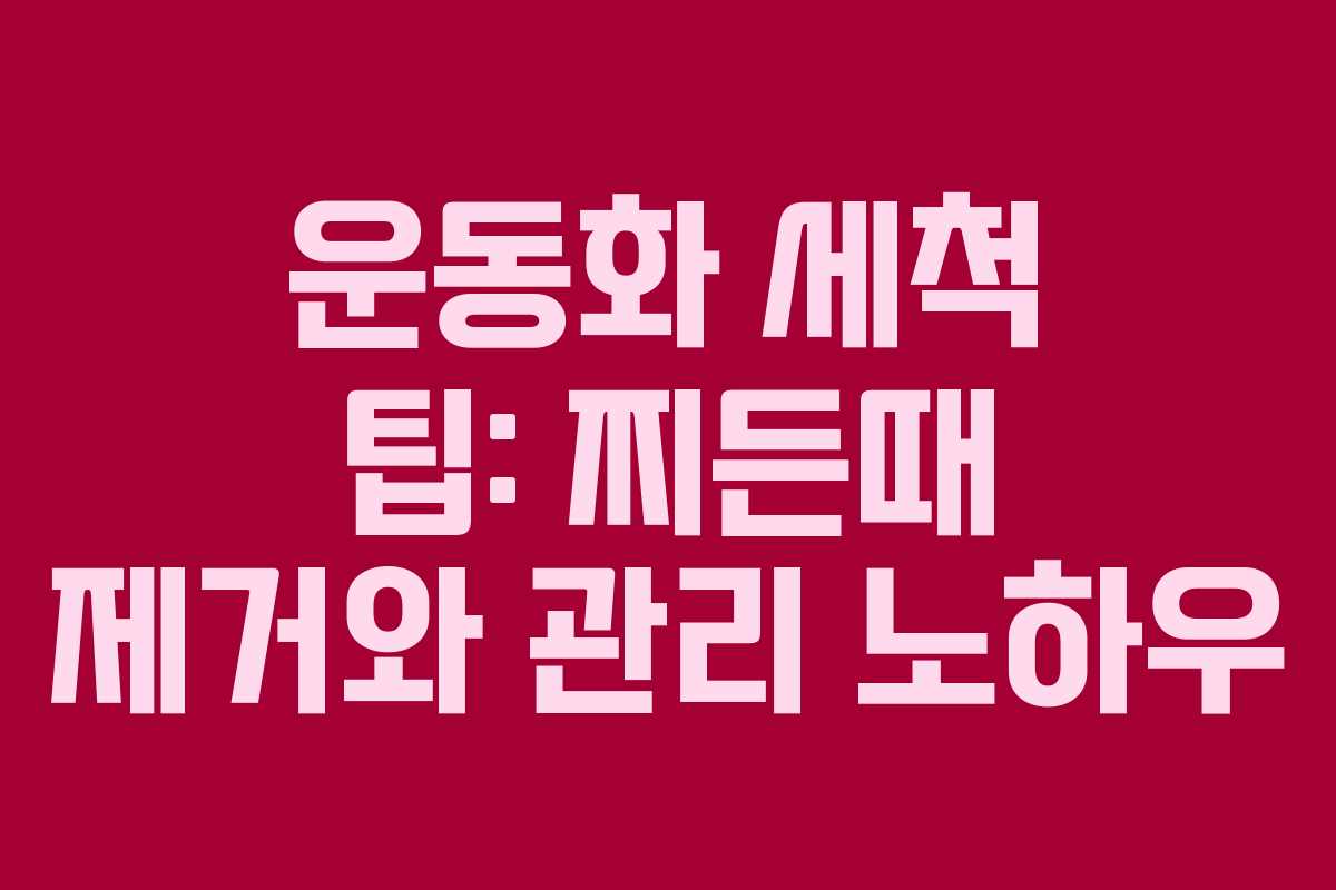 운동화 세척 팁: 찌든때 제거와 관리 노하우
