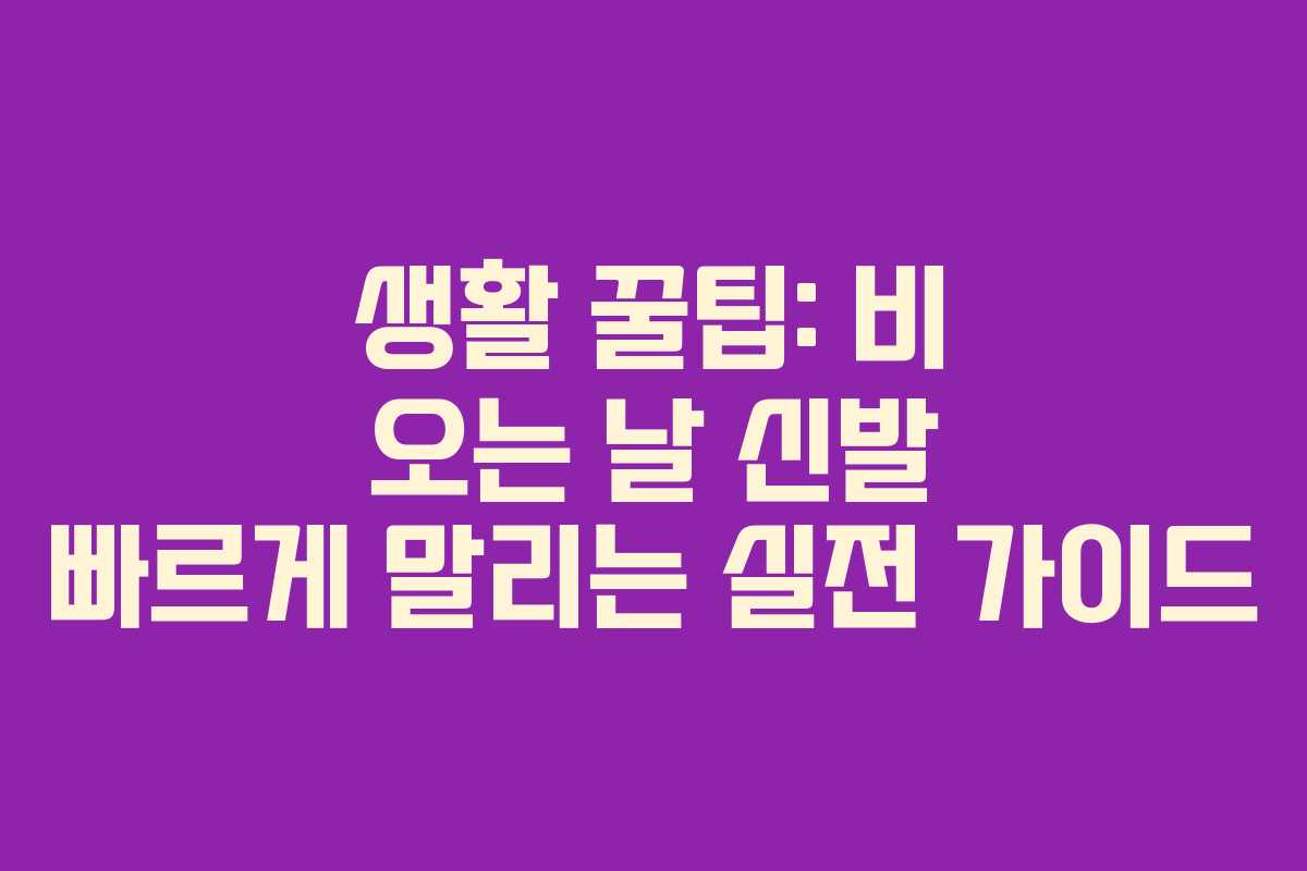 생활 꿀팁: 비 오는 날 신발 빠르게 말리는 실전 가이드