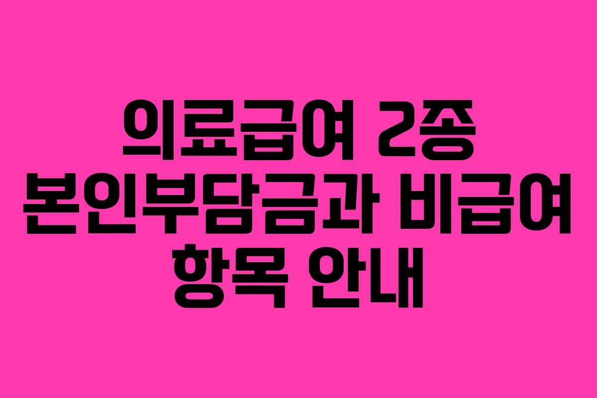 의료급여 2종 본인부담금과 비급여 항목 안내