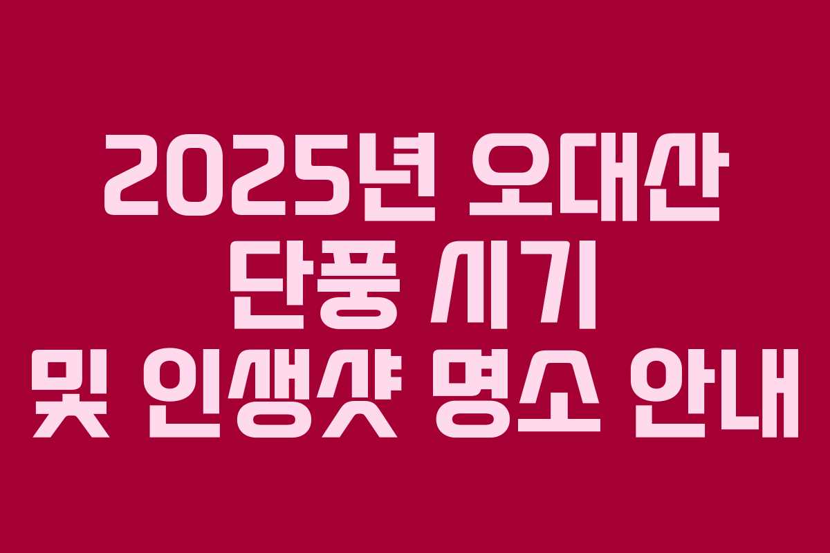 2025년 오대산 단풍 시기 및 인생샷 명소 안내