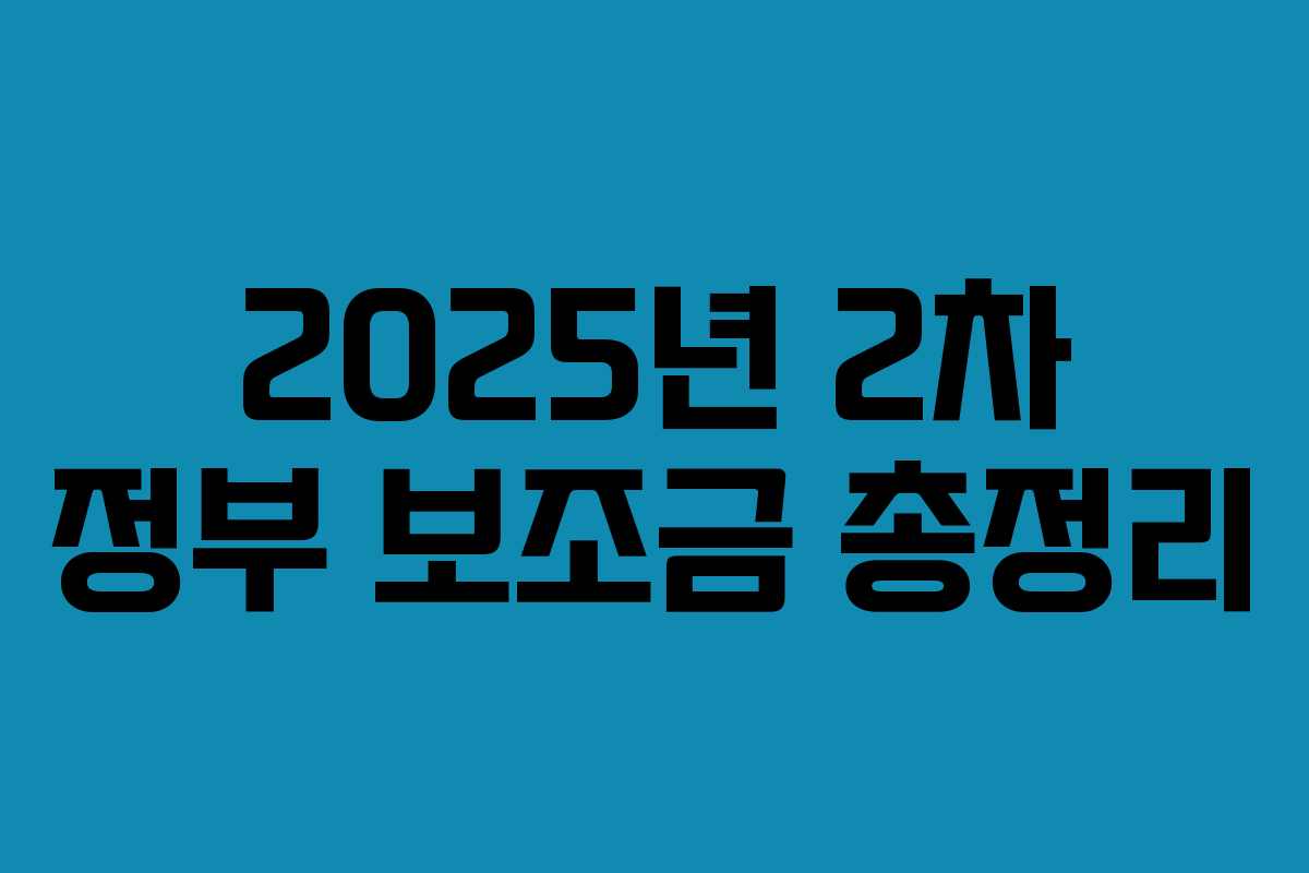 2025년 2차 정부 보조금 총정리