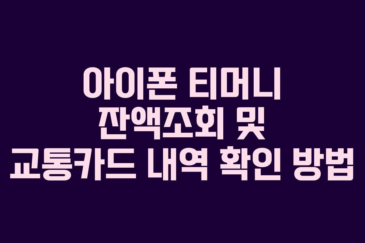 아이폰 티머니 잔액조회 및 교통카드 내역 확인 방법