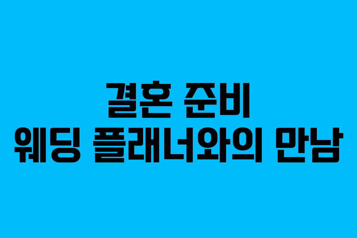 결혼 준비 웨딩 플래너와의 만남 결혼 준비 웨딩 플래너와의 만남
