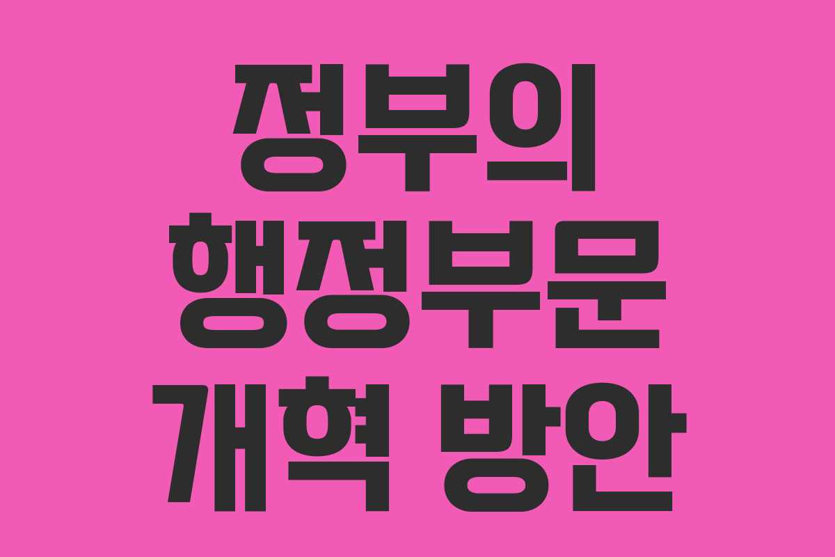 정부의 행정부문 개혁 방안