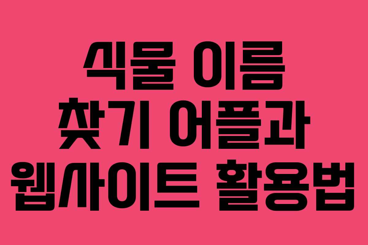 식물 이름 찾기 어플과 웹사이트 활용법