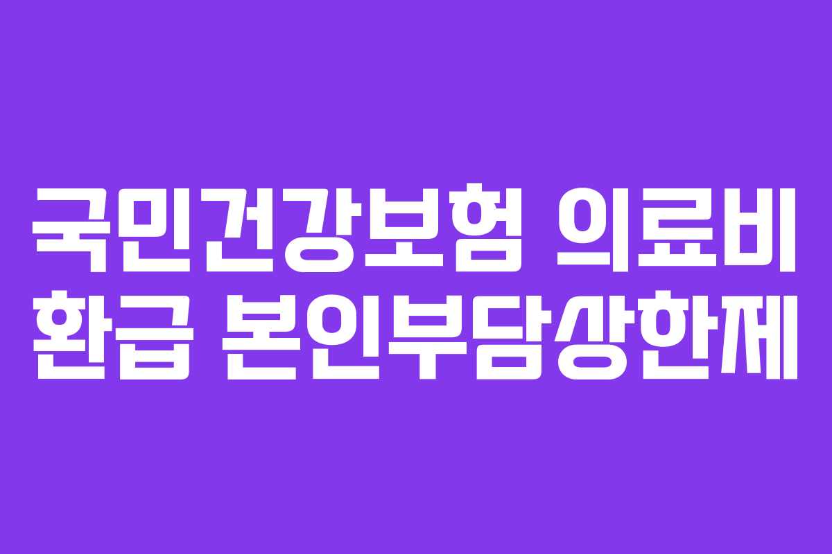국민건강보험 의료비 환급 본인부담상한제