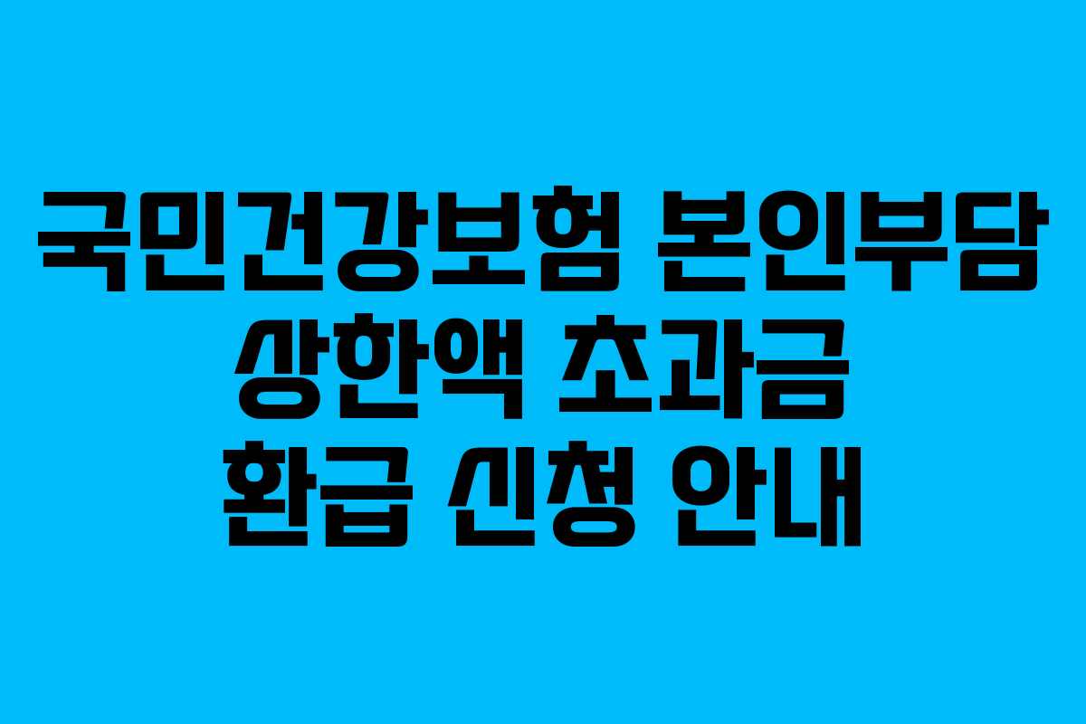 국민건강보험 본인부담 상한액 초과금 환급 신청 안내