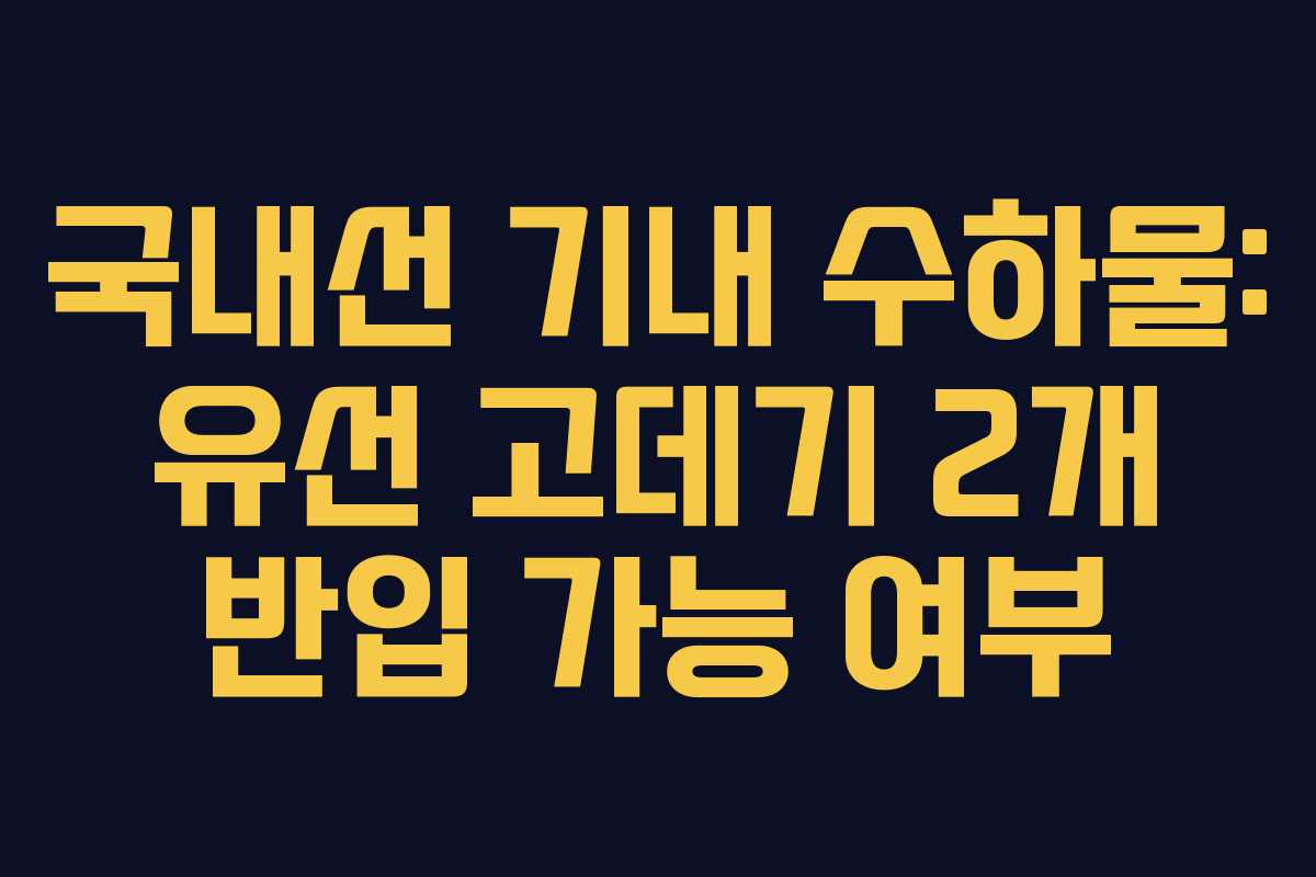 국내선 기내 수하물: 유선 고데기 2개 반입 가능 여부