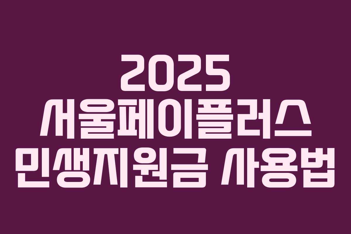 2025 서울페이플러스 민생지원금 사용법