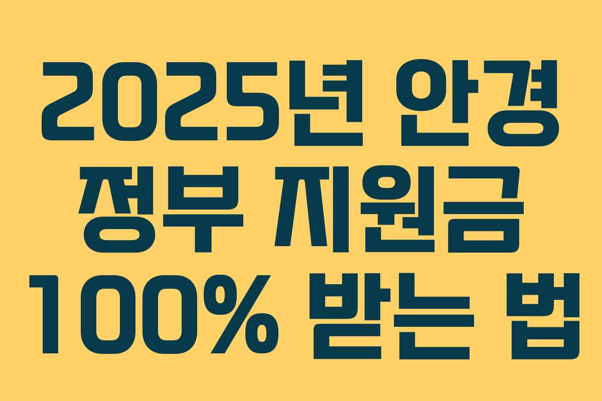 2025년 안경 정부 지원금 100% 받는 법