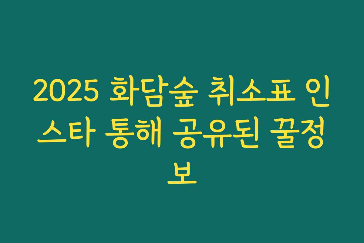 2025 화담숲 취소표 인스타 통해 공유된 꿀정보