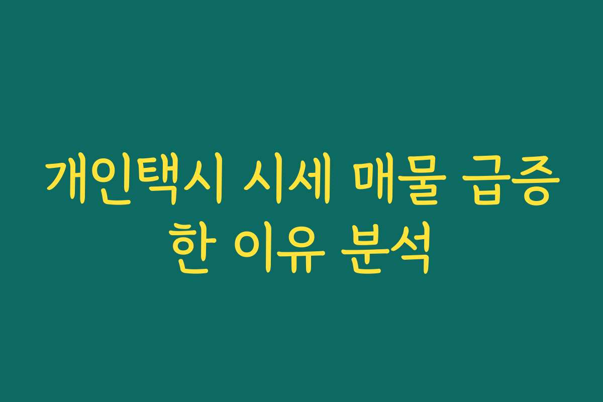 개인택시 시세 매물 급증한 이유 분석