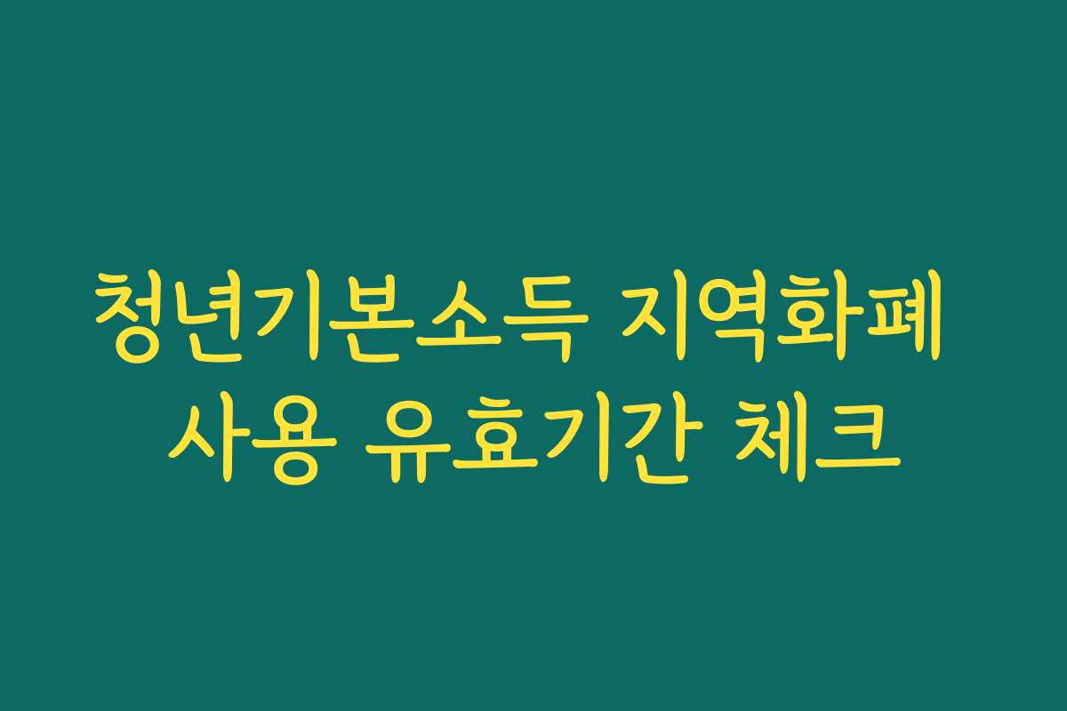 청년기본소득 지역화폐 사용 유효기간 체크