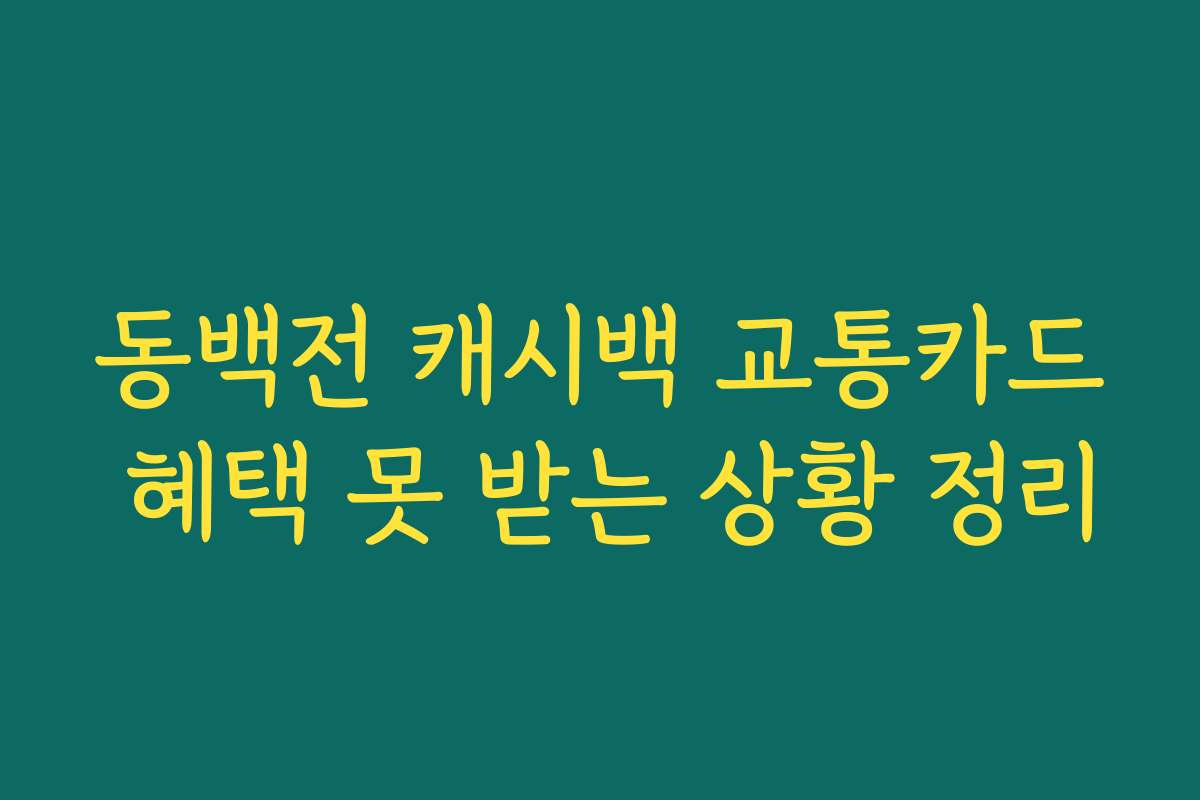 동백전 캐시백 교통카드 혜택 못 받는 상황 정리 동백전 캐시백 교통카드 혜택 못 받는 상황 정리