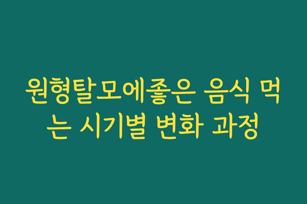 원형탈모에좋은 음식 먹는 시기별 변화 과정