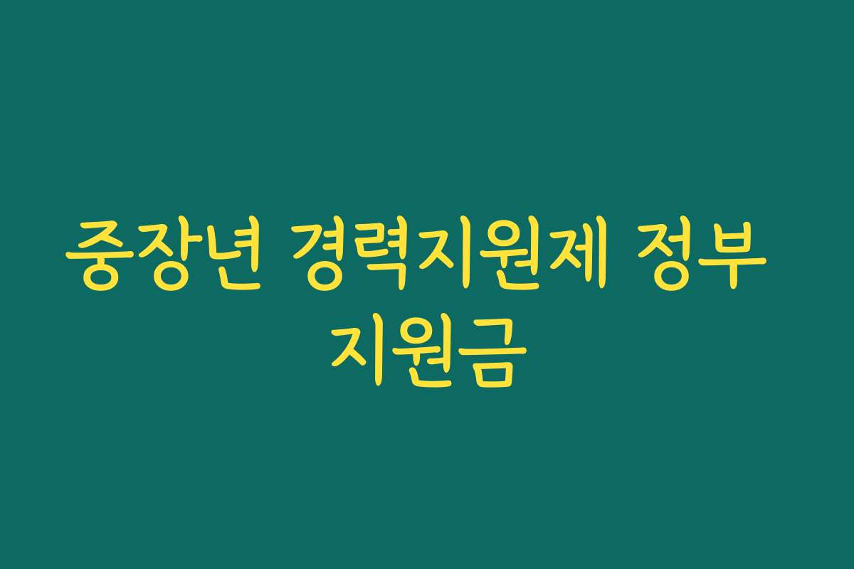 중장년 경력지원제 정부 지원금
