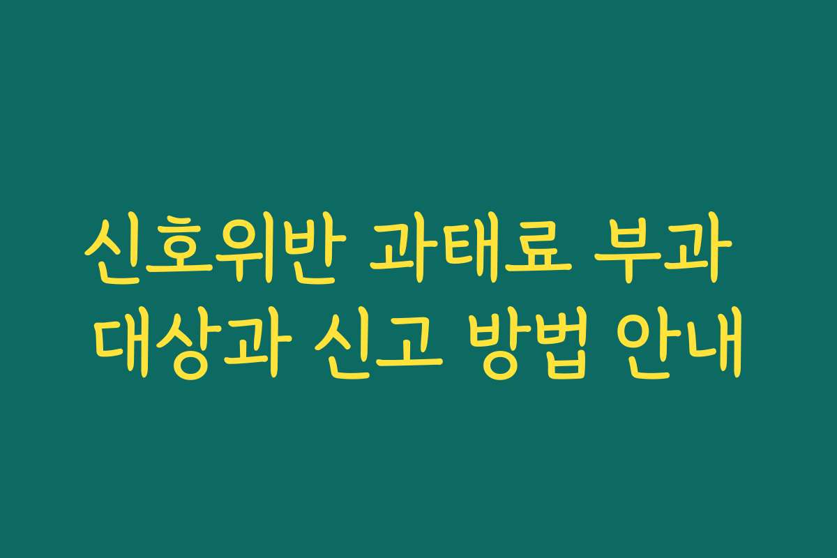 신호위반 과태료 부과 대상과 신고 방법 안내 신호위반 과태료 부과 대상과 신고 방법 안내