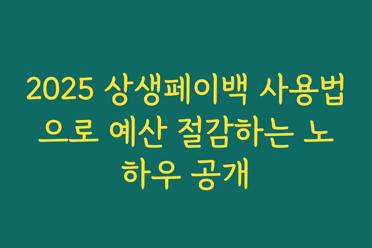 2025 상생페이백 사용법으로 예산 절감하는 노하우 공개