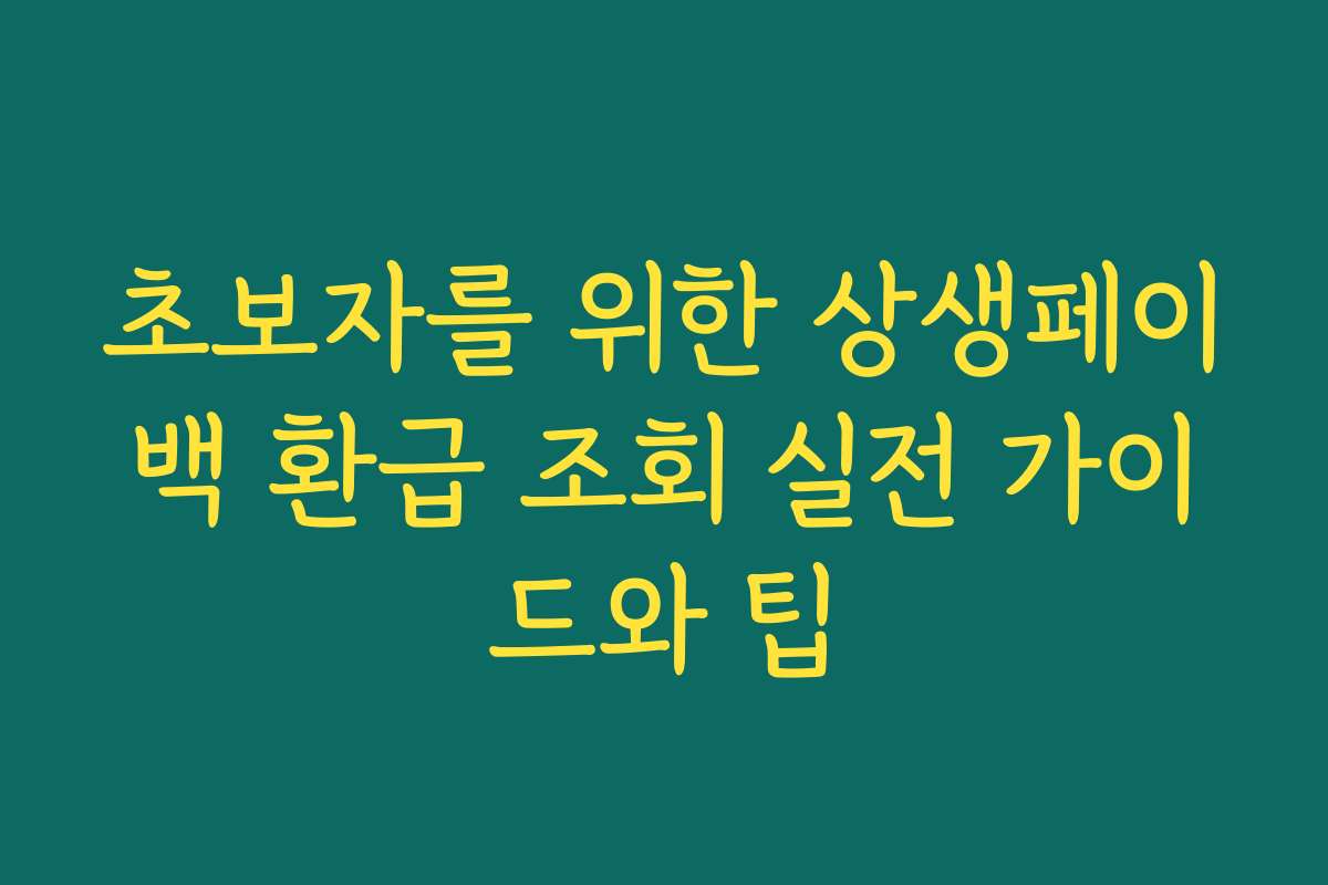 초보자를 위한 상생페이백 환급 조회 실전 가이드와 팁