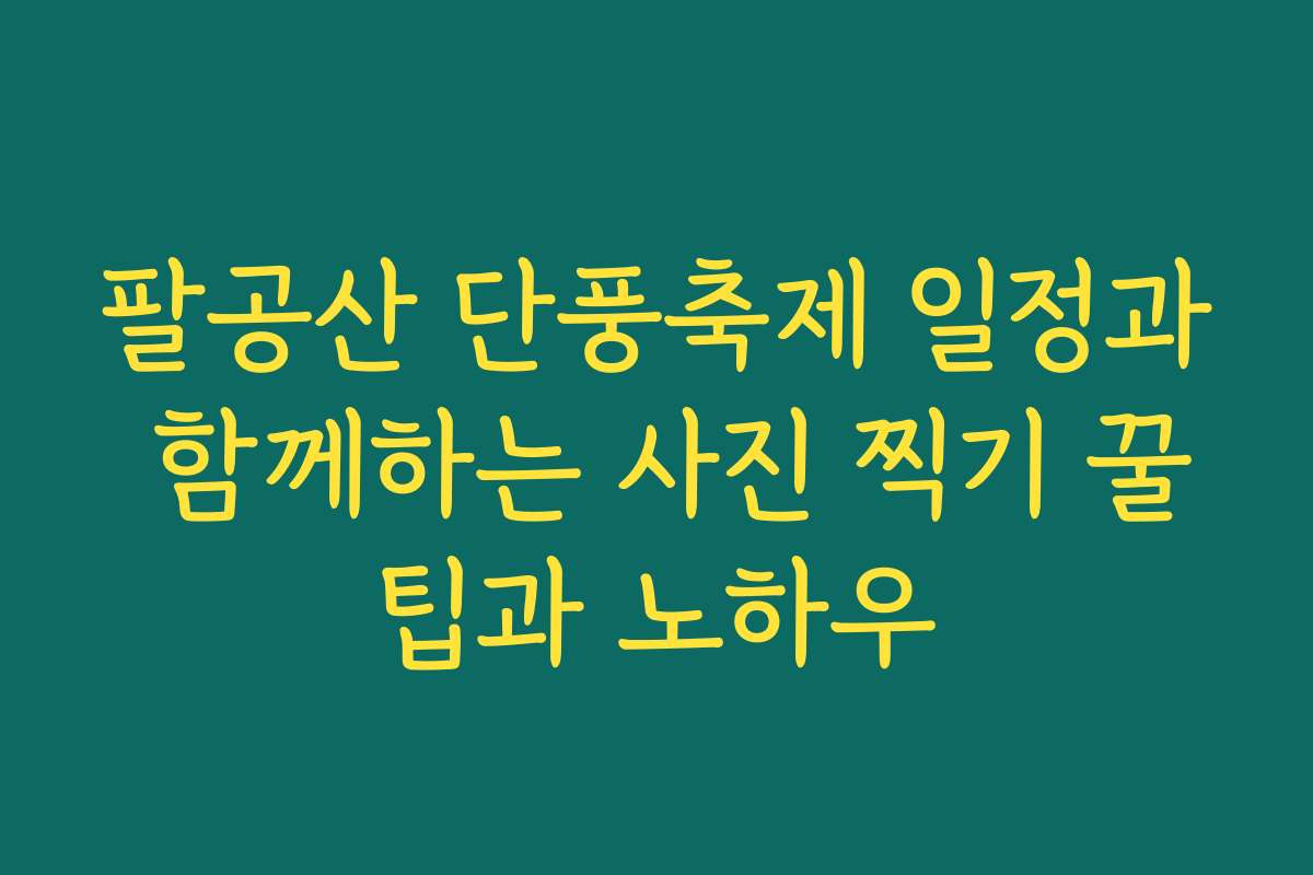 팔공산 단풍축제 일정과 함께하는 사진 찍기 꿀팁과 노하우