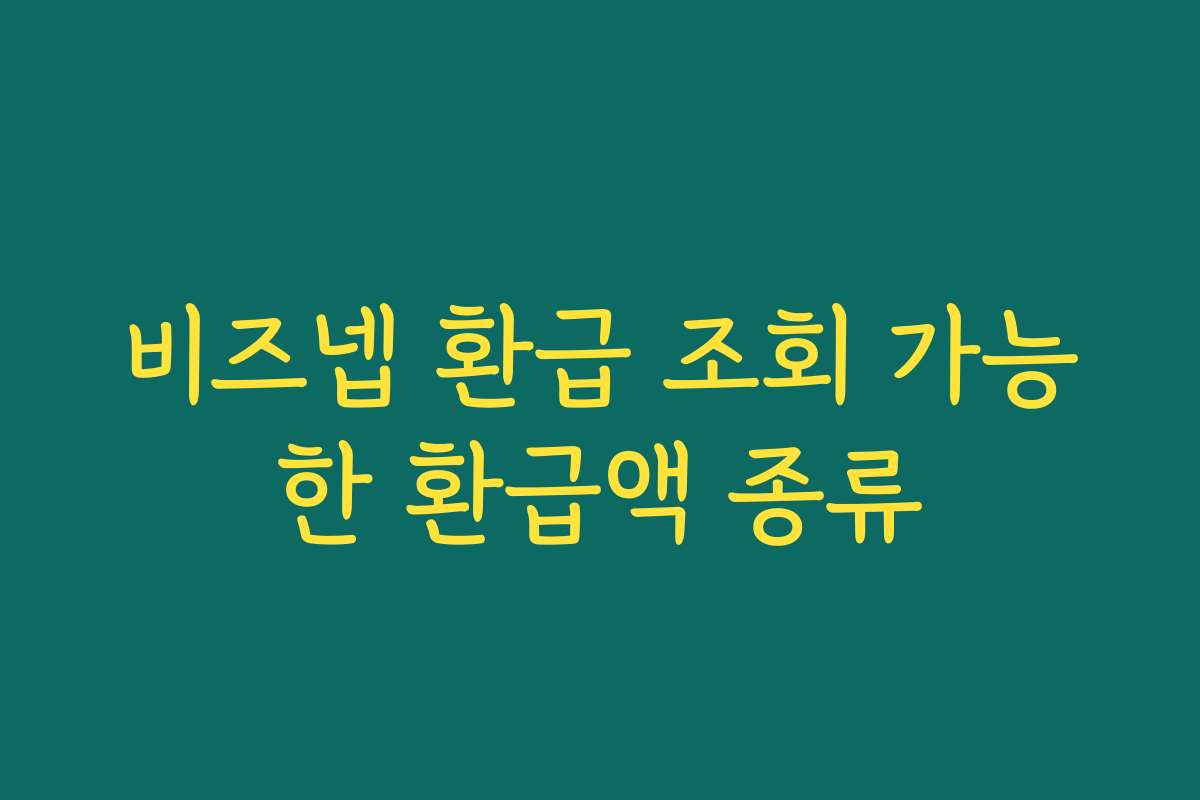비즈넵 환급 조회 가능한 환급액 종류