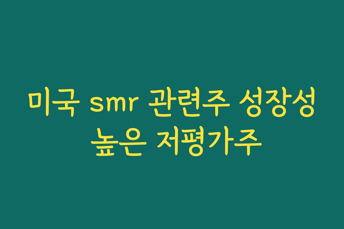 미국 smr 관련주 성장성 높은 저평가주
