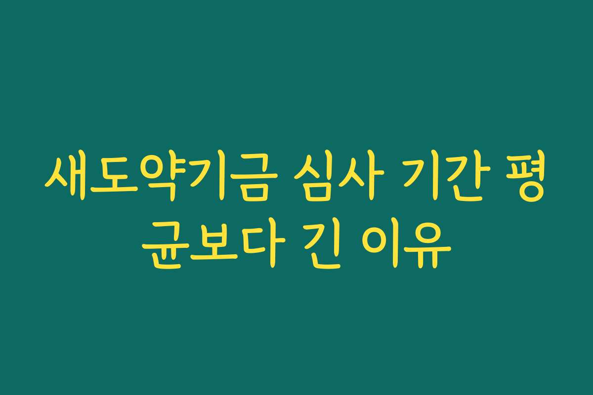 새도약기금 심사 기간 평균보다 긴 이유