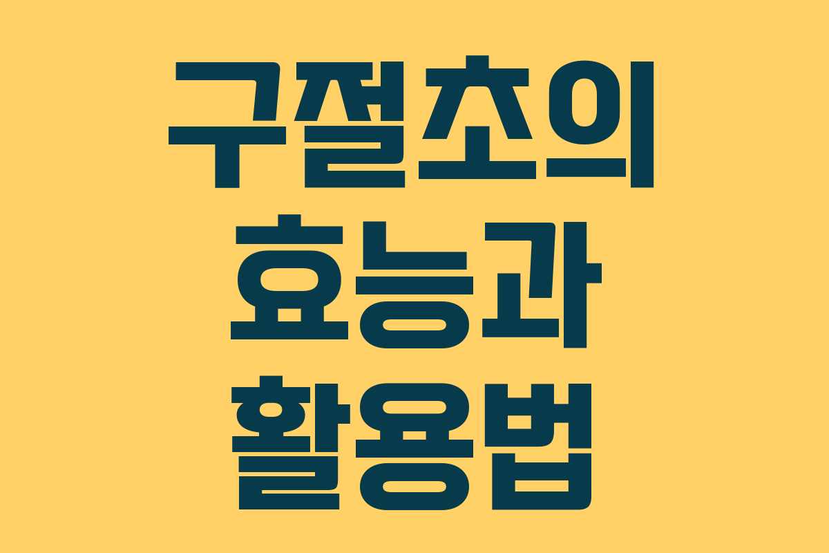 구절초의 효능과 활용법