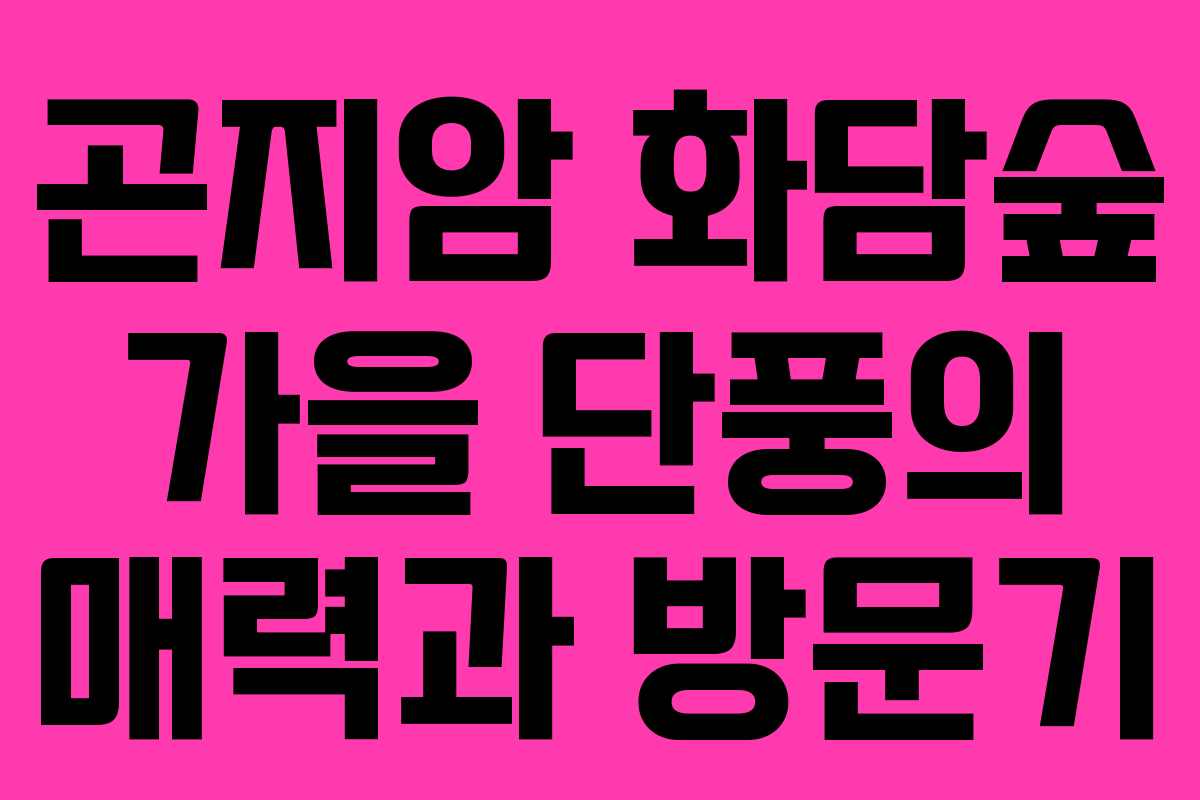 곤지암 화담숲 가을 단풍의 매력과 방문기 곤지암 화담숲 가을 단풍의 매력과 방문기