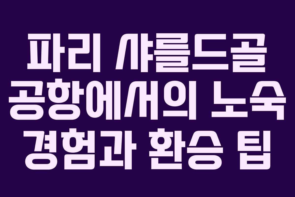 파리 샤를드골 공항에서의 노숙 경험과 환승 팁