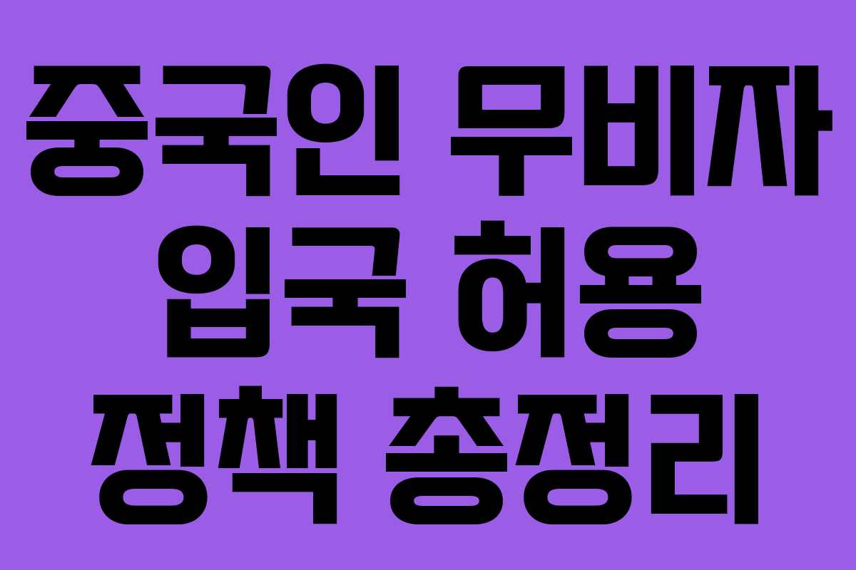 중국인 무비자 입국 허용 정책 총정리