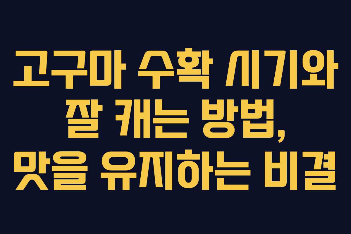 고구마 수확 시기와 잘 캐는 방법, 맛을 유지하는 비결