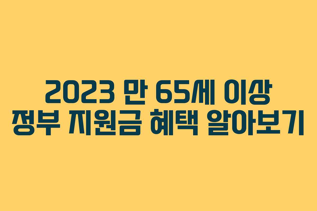 2023 만 65세 이상 정부 지원금 혜택 알아보기